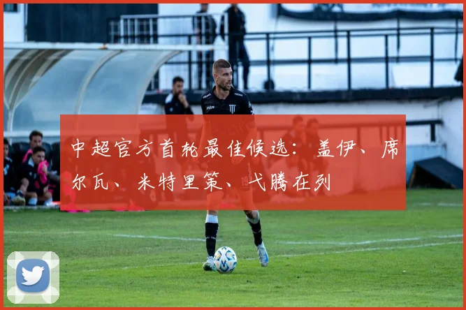 中超官方首轮最佳候选：盖伊、席尔瓦、米特里策、弋腾在列