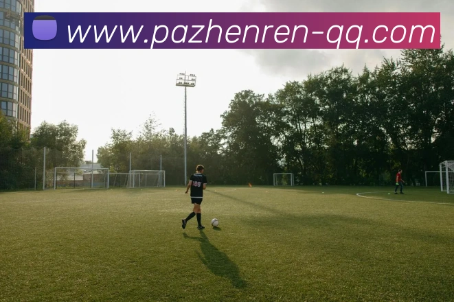 多媒体互动体验